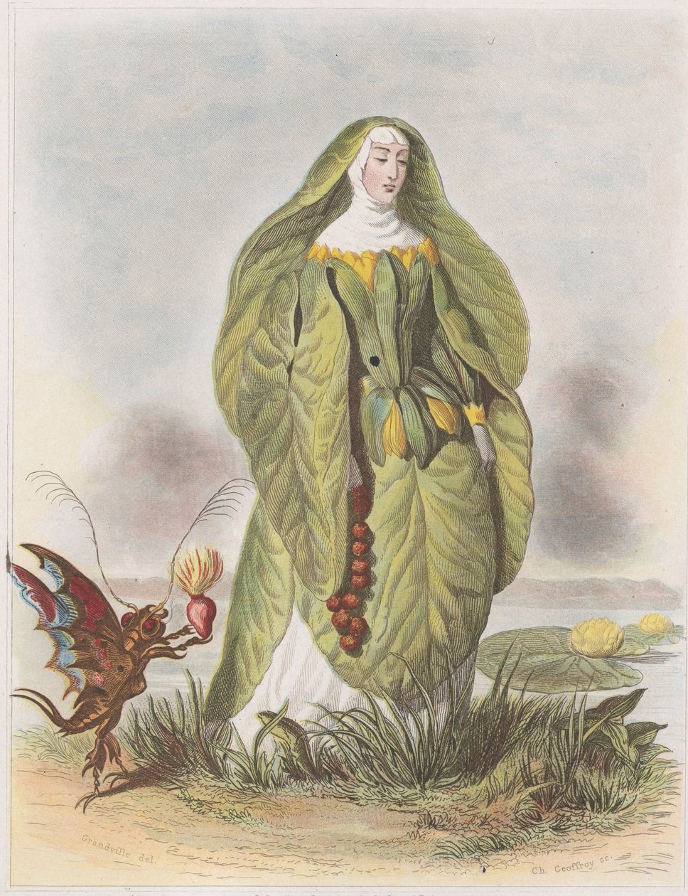 زنبق الماء ، من Les Fleurs Animées ، 1847. بواسطة تشارلز ميشيل جوفروي