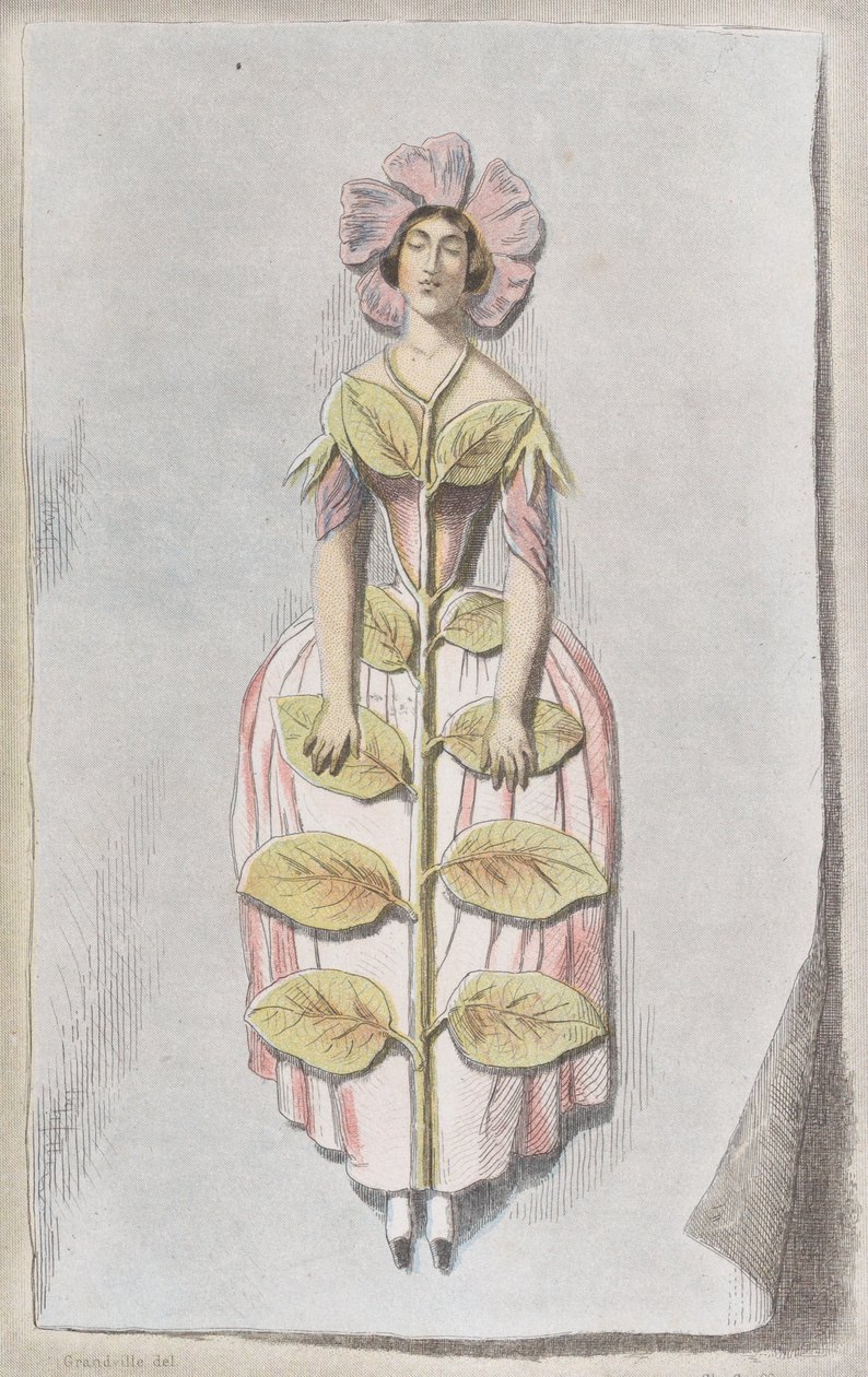 نكة مجففة ، من Les Fleurs Animées ، 1847. ، 1847. بواسطة تشارلز ميشيل جوفروي