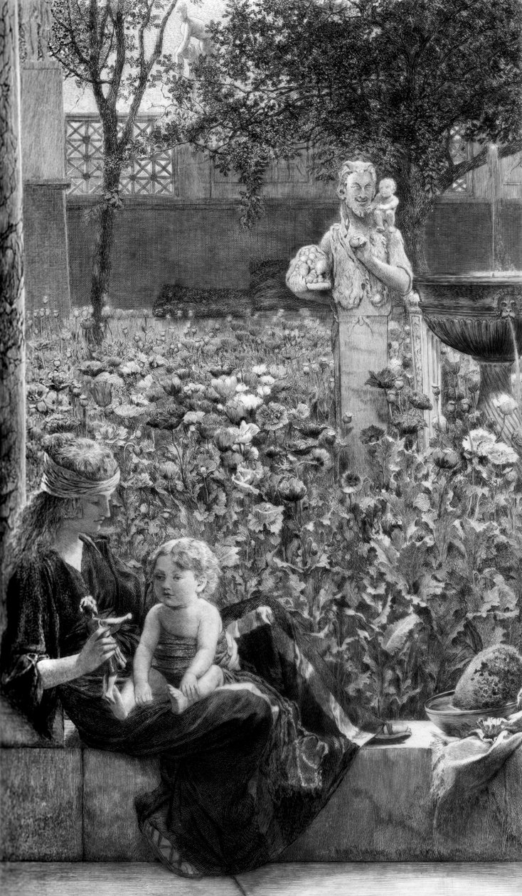 آفات سيلدي ، c1880-1882. بواسطة تشارلز أوليفر موراي