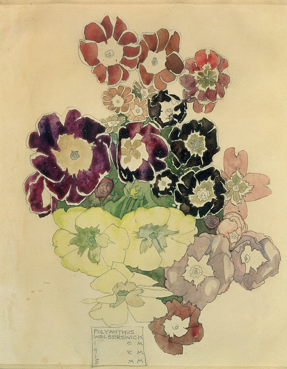Polyanthus ، Walberswick ، 1915 بواسطة تشارلز ريني ماكينتوش