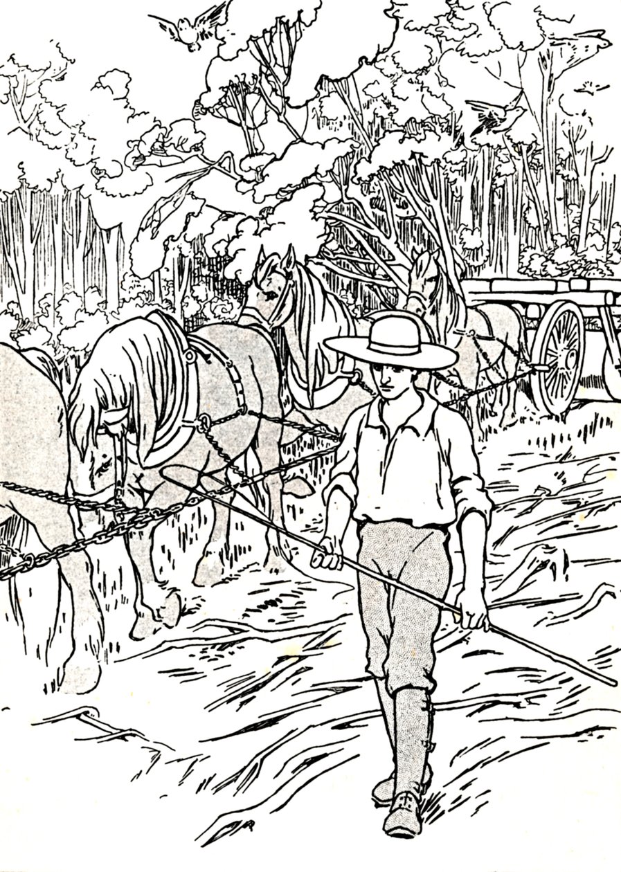 مستوطن يزيل أرضه ، 1912 بواسطة تشارلز روبنسون