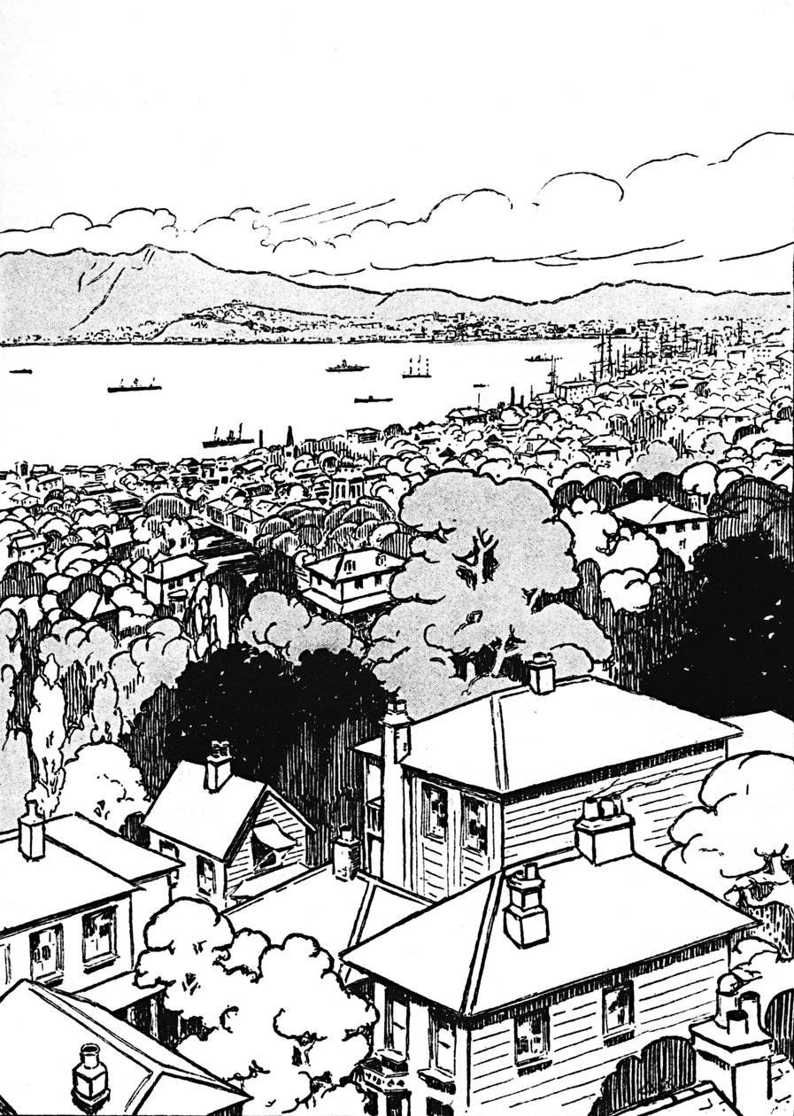ويلينغتون ، 1912 بواسطة تشارلز روبنسون
