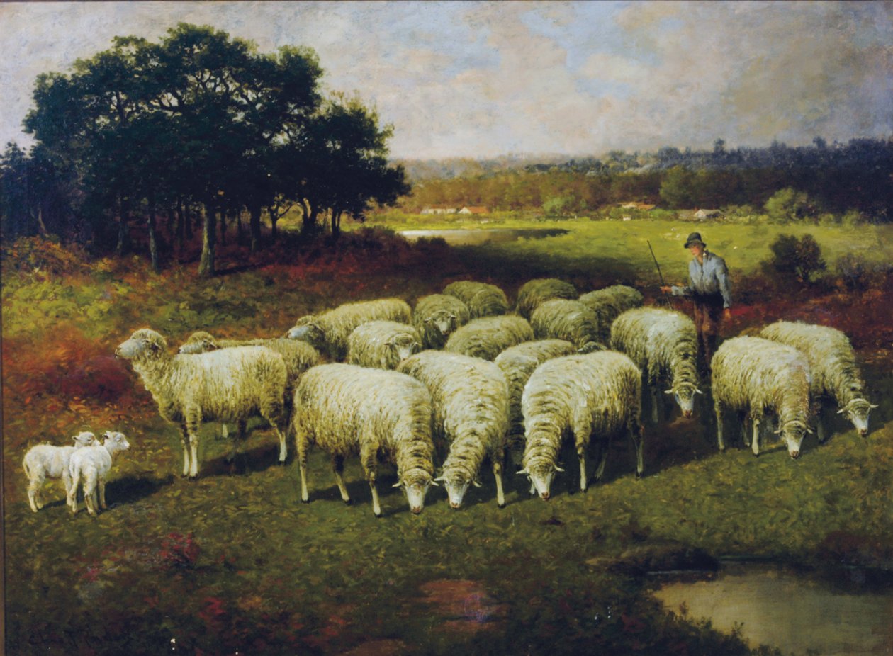 راعي مع خرافه في الحقل ، 1898 بواسطة تشارلز ت. فيلان