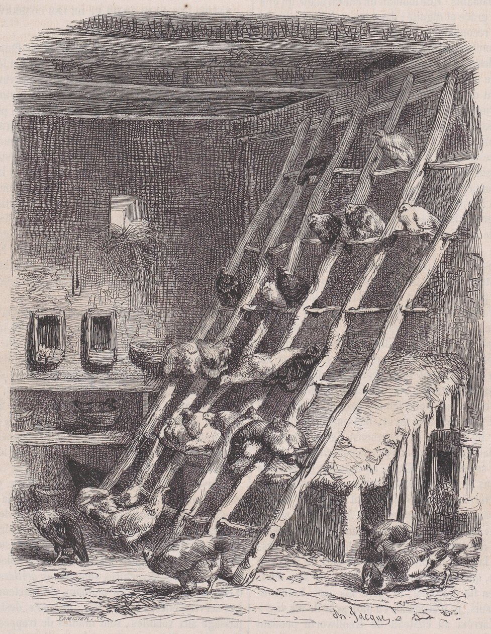 زيارة إلى مزرعة - The Roost ، من Le Magasin Pittoresque ، كاليفورنيا. 1852. بواسطة شارل تميسير