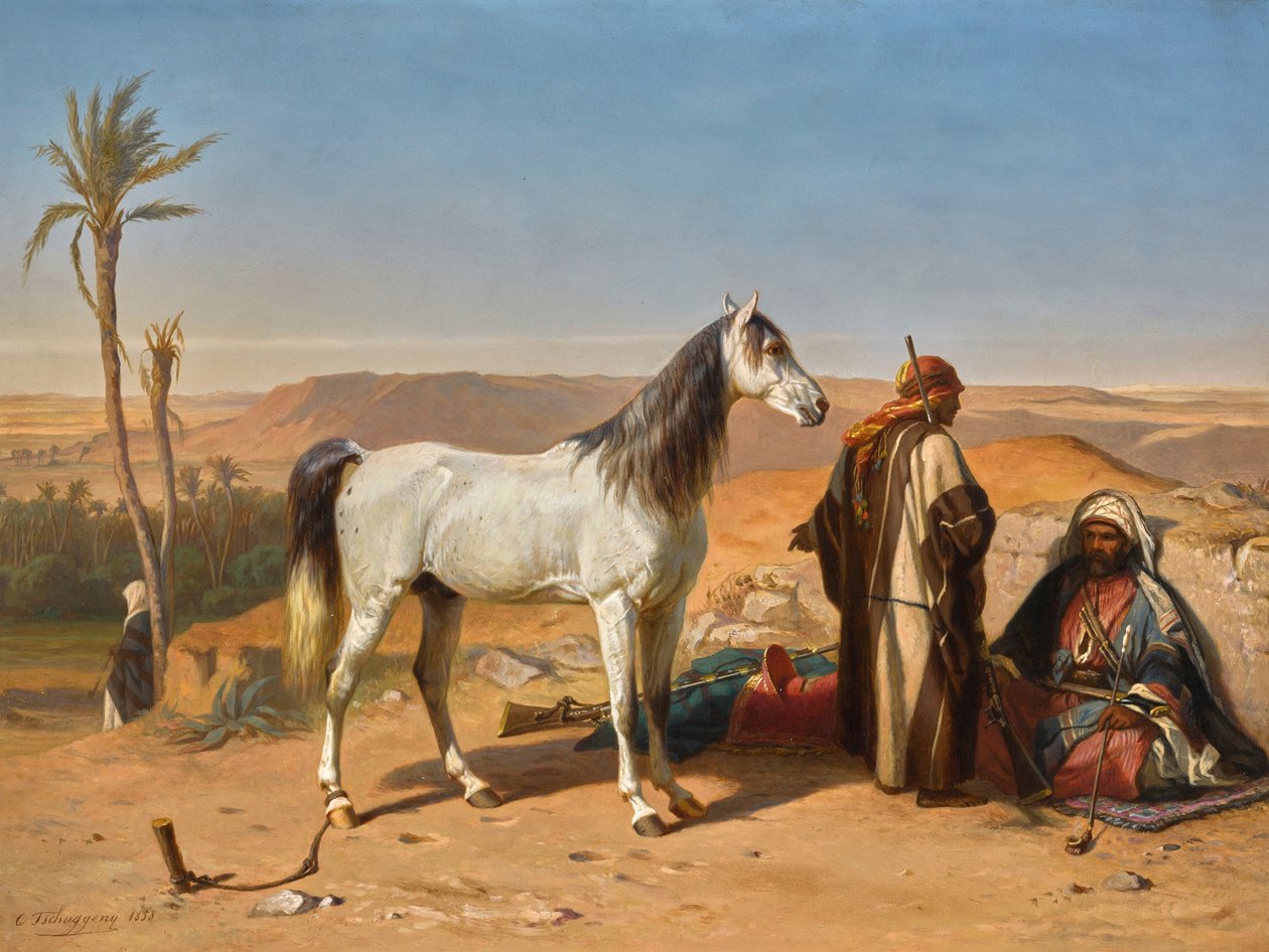  بواسطة تشارلز تشاججيني