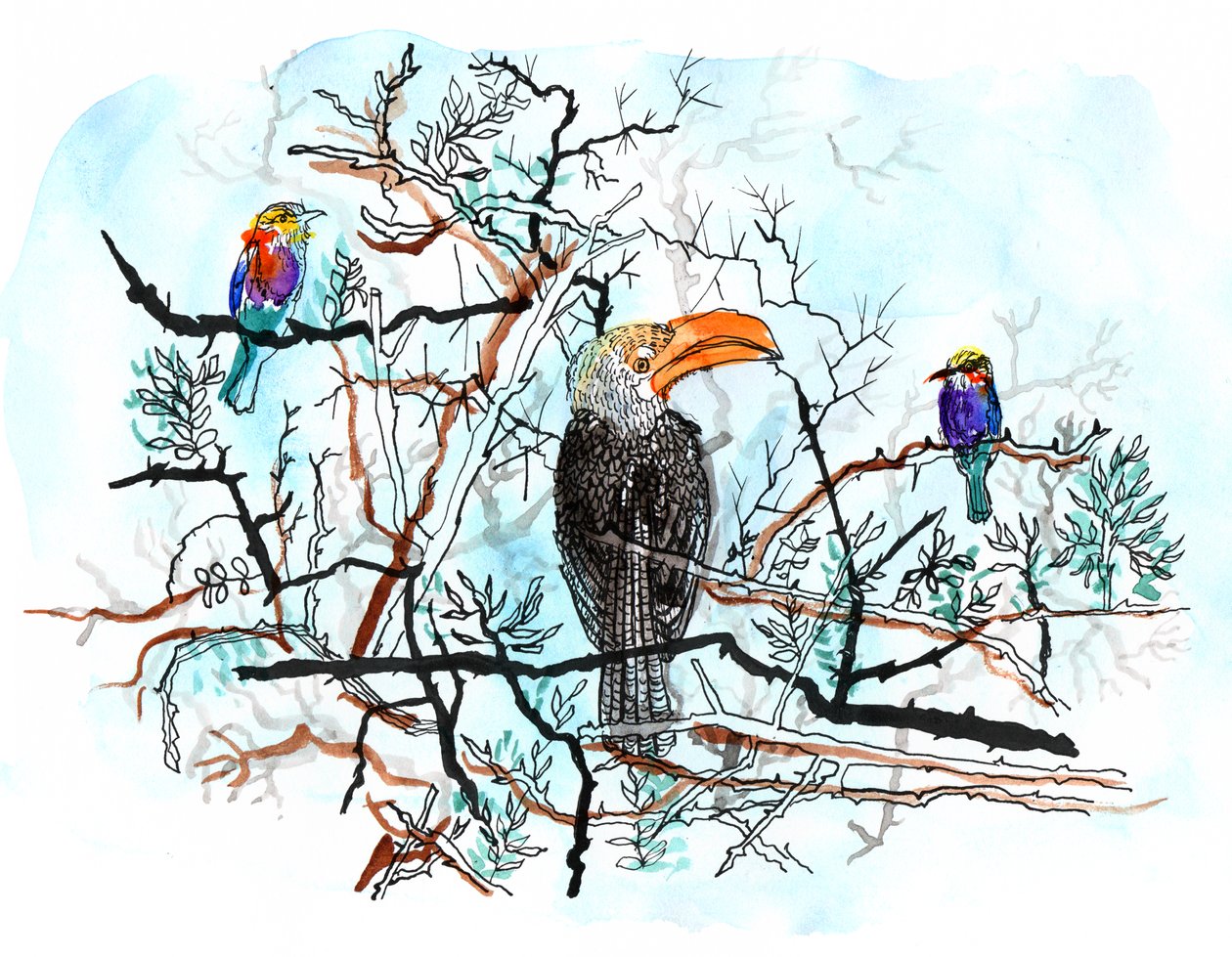 Bird in Tree، 2018 (قلم وحبر وألوان مائية) بواسطة شارلوت أور