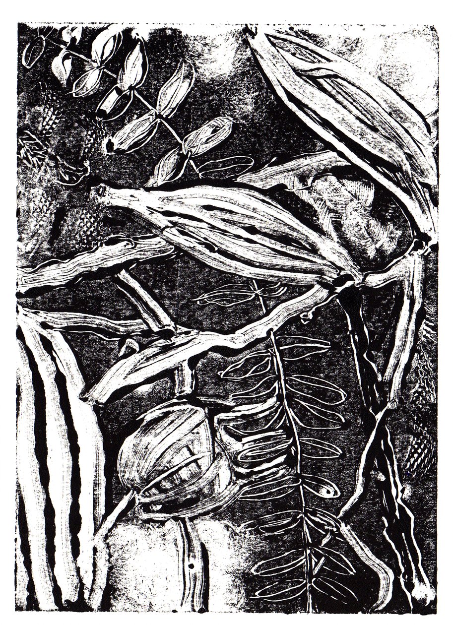 نباتات الحبر ، 2019 (monoprint) بواسطة شارلوت أور