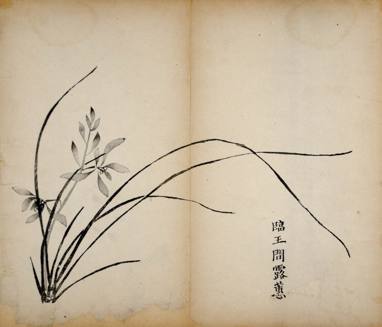 مطبوعات استوديو Ten Bamboo ، 1643 (لوح خشبي) بواسطة المدرسة الصينية