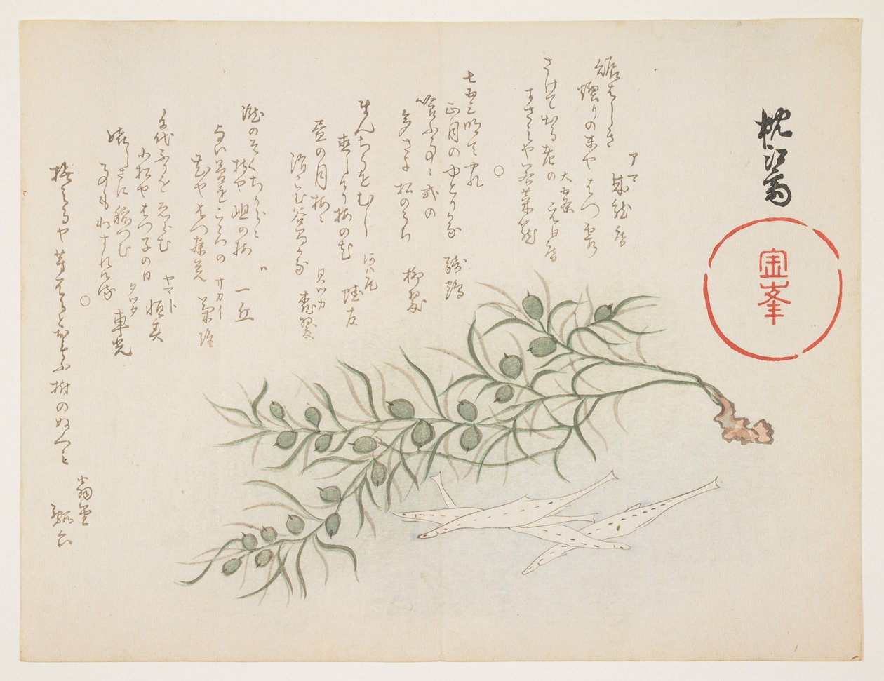 سمكة بيضاء صغيرة وأعشاب مائية ، c.1854-59 (طبعة خشبية ملونة) بواسطة Chinksai