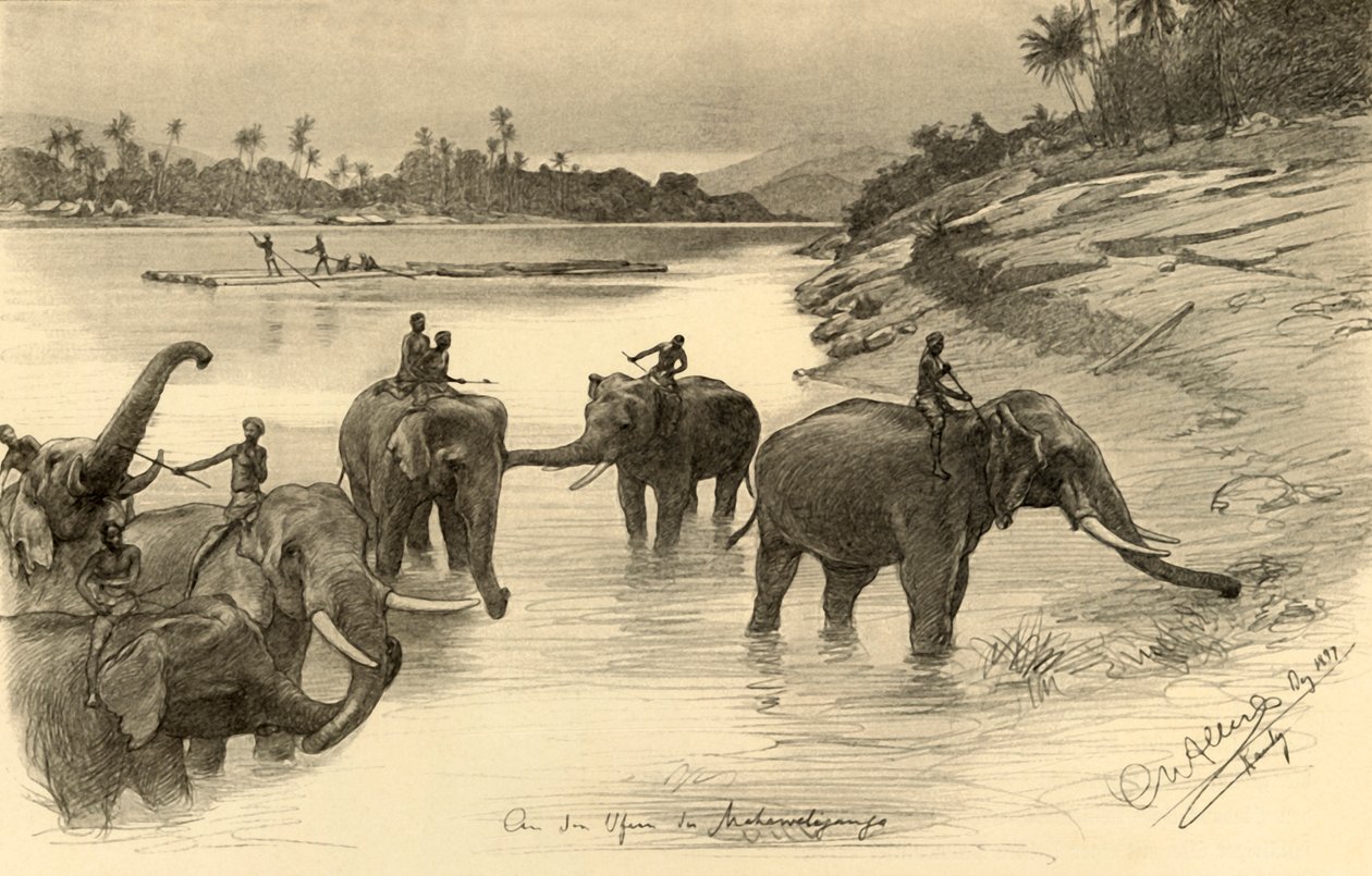 الأفيال على ضفاف نهر ماهاويلي ، سيلان ، 1898. بواسطة كريستيان فيلهلم أليرز