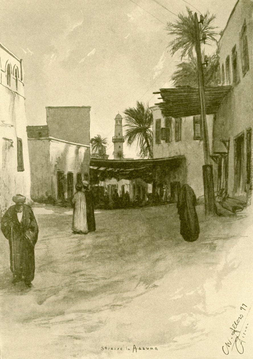 شارع في أسوان ، مصر ، 1898. بواسطة كريستيان فيلهلم أليرز
