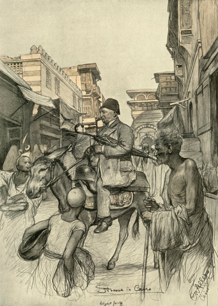شارع بالقاهرة 1898. بواسطة كريستيان فيلهلم أليرز