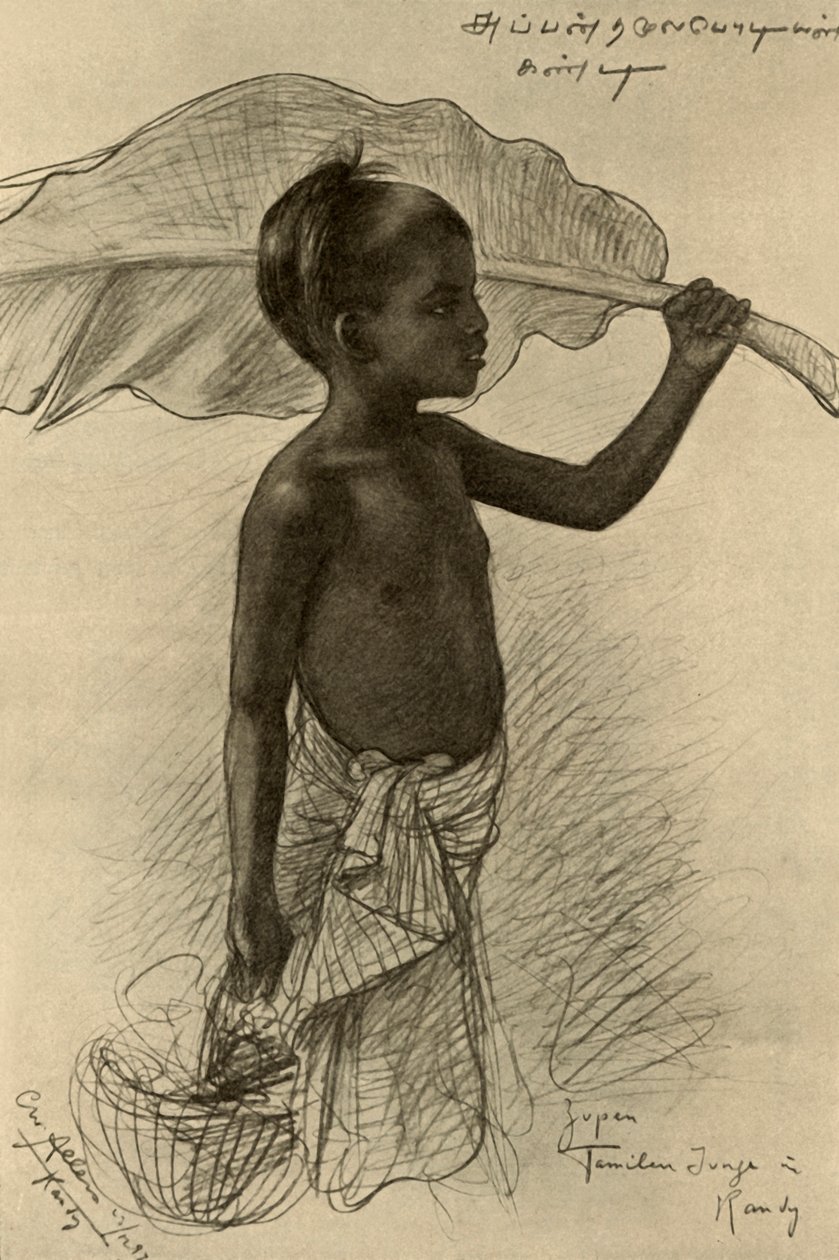 فتى من التاميل ، كاندي ، سيلان ، 1898. بواسطة كريستيان فيلهلم أليرز