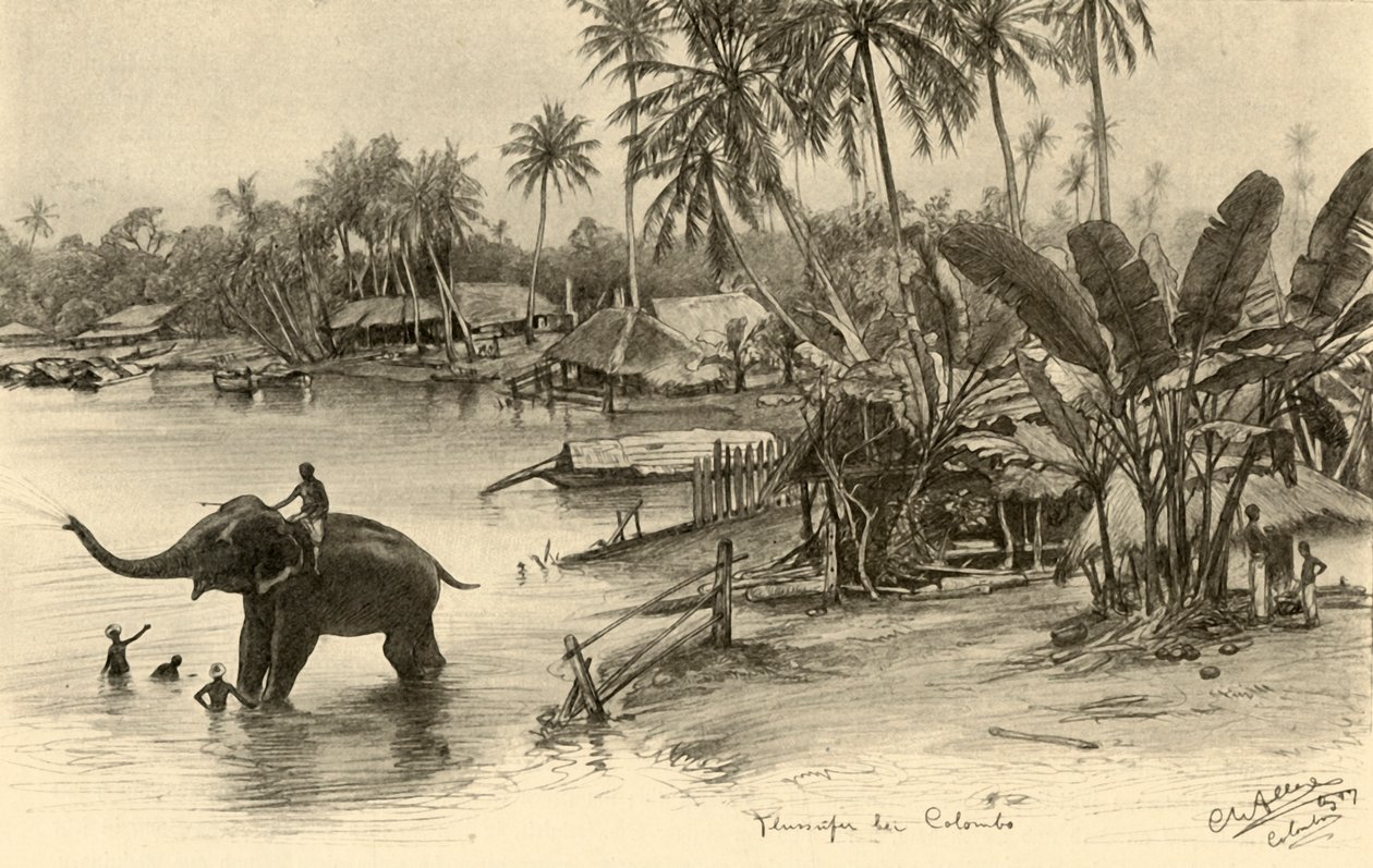 غسل فيل في النهر ، كولومبو ، سيلان ، 1898. بواسطة كريستيان فيلهلم أليرز
