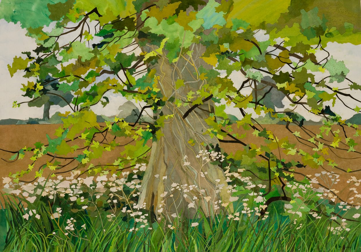 شجرة دارسي، 2011 (ملصقة ورقية مرسومة بالألوان المائية) بواسطة 