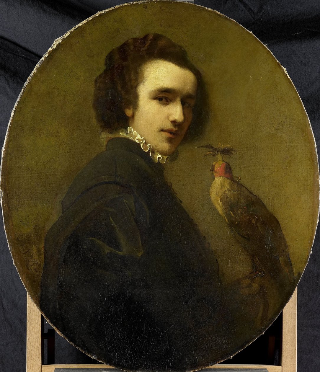 الصقار بواسطة كريستوفيل بيسشوب