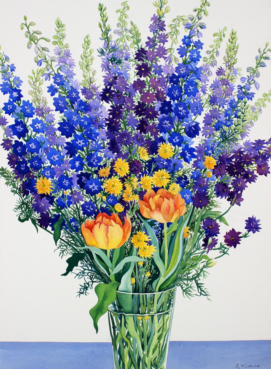 Larkspur و Delphiniums (ألوان مائية على ورق) بواسطة كريستوفر ريلاند