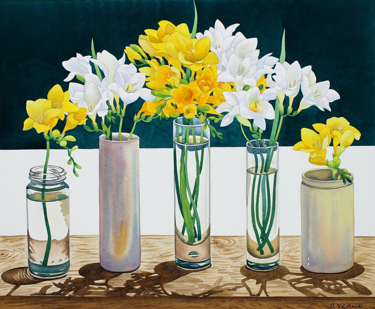 حياة صامتة Freesias (ألوان مائية على ورق) بواسطة كريستوفر ريلاند
