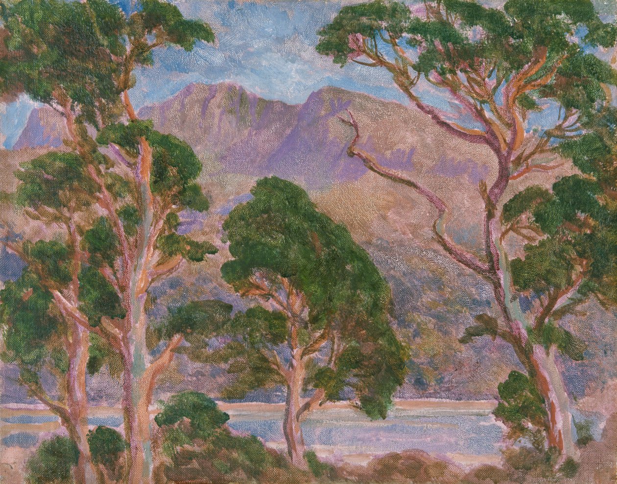"كادر إدريس" 1893-1934 بواسطة كريستوفر ويليامز