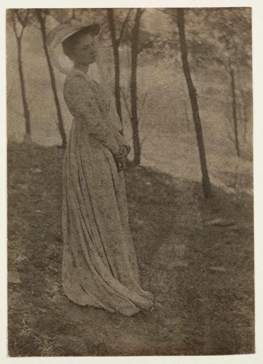 جوليا هول ماكيون ، ج. 1897. بواسطة كلارنس هـ. وايت