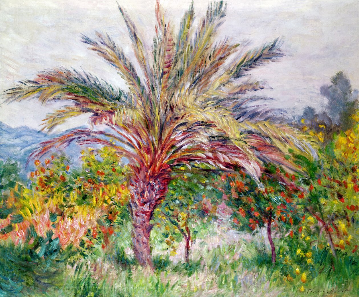 شجرة النخيل في بورديغيرا ، 1884 بواسطة كلود مونيه