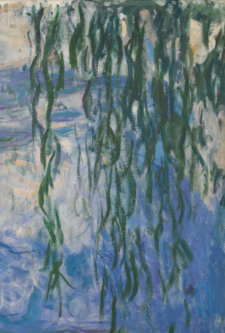 Waterlilies ، 1916-1919 زيت على قماش التفاصيل 161015 بواسطة كلود مونيه