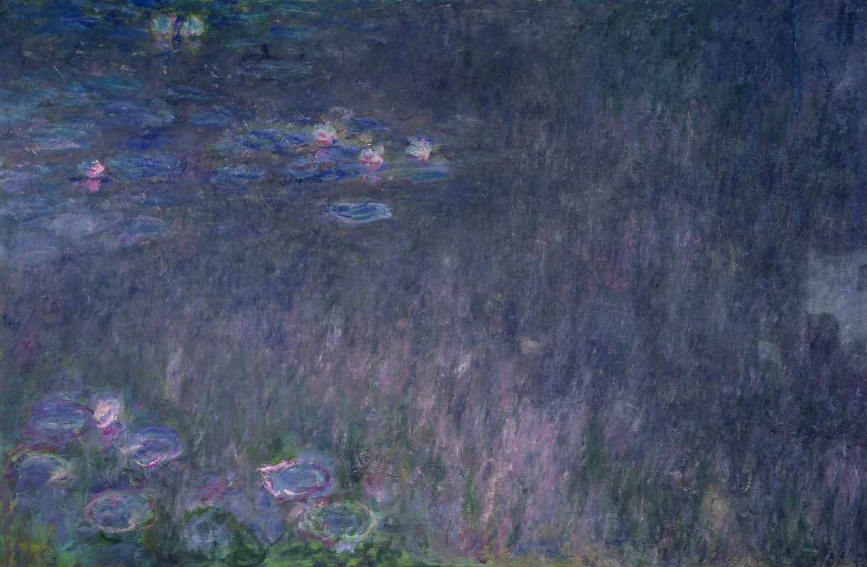 Waterlilies: انعكاسات الأشجار ، التفاصيل من الجانب الأيسر ، 1915-1926 بواسطة كلود مونيه