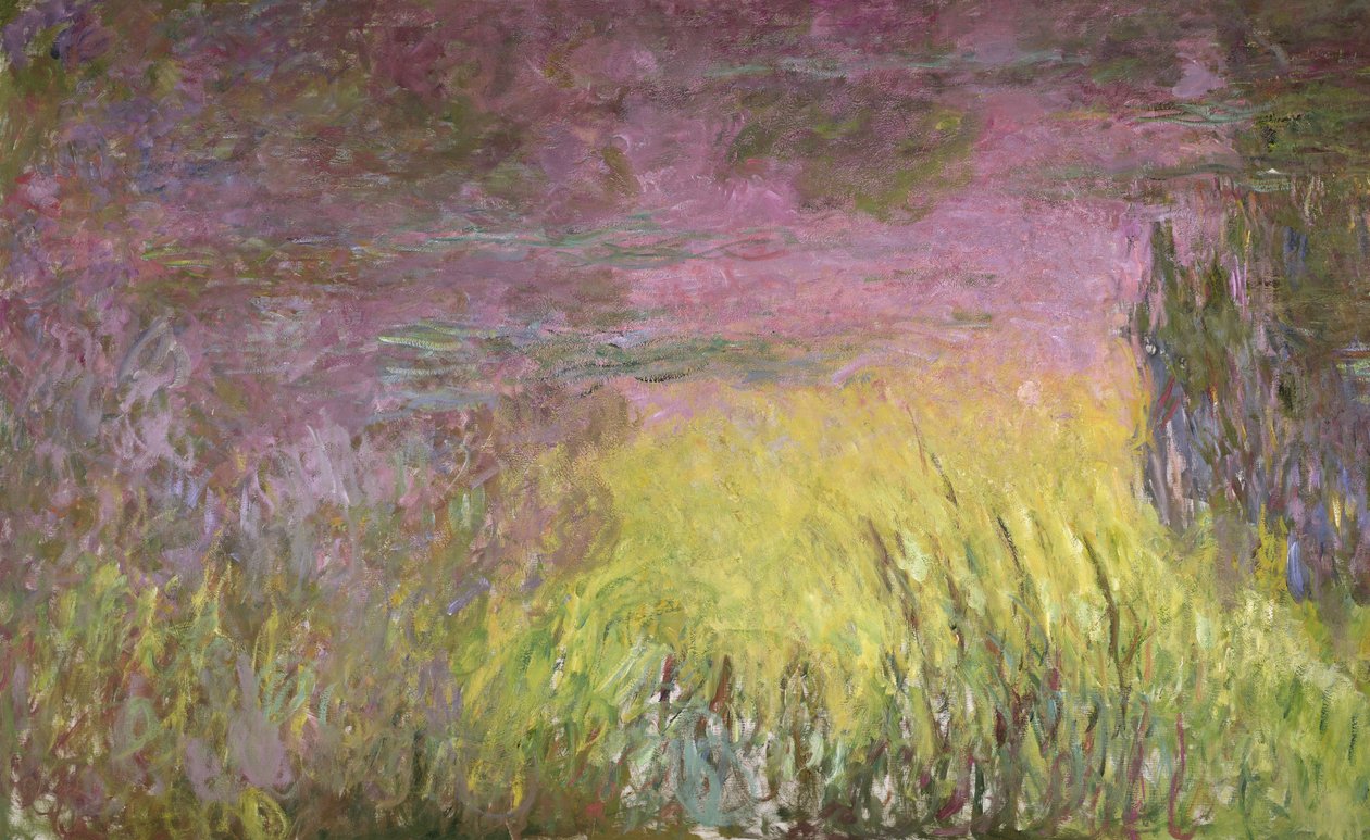 Waterlilies at Sunset، 1915-26 (تفاصيل الجانب الأيسر) بواسطة كلود مونيه