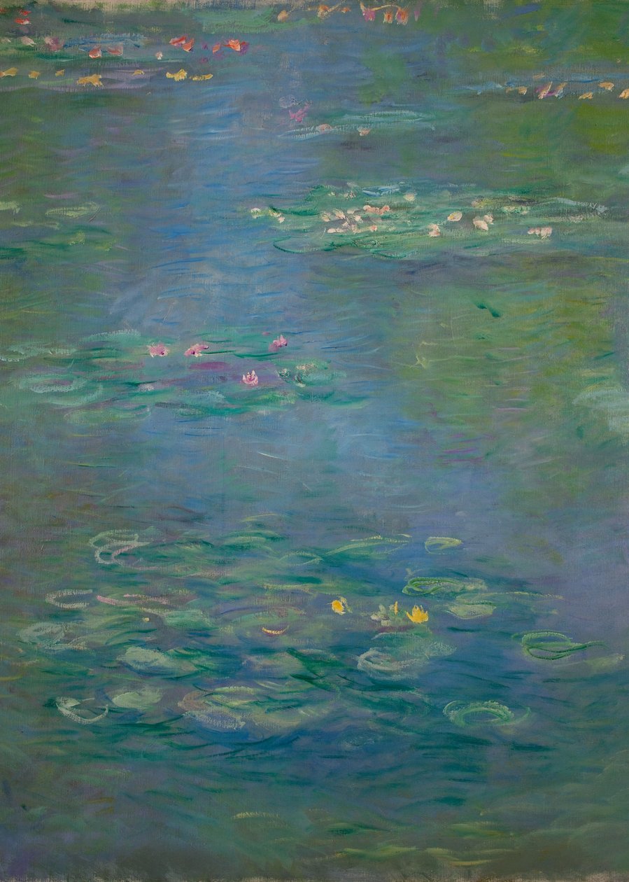 Waterlilies ، التفاصيل ، 1903 (انظر أيضًا 160198) بواسطة كلود مونيه