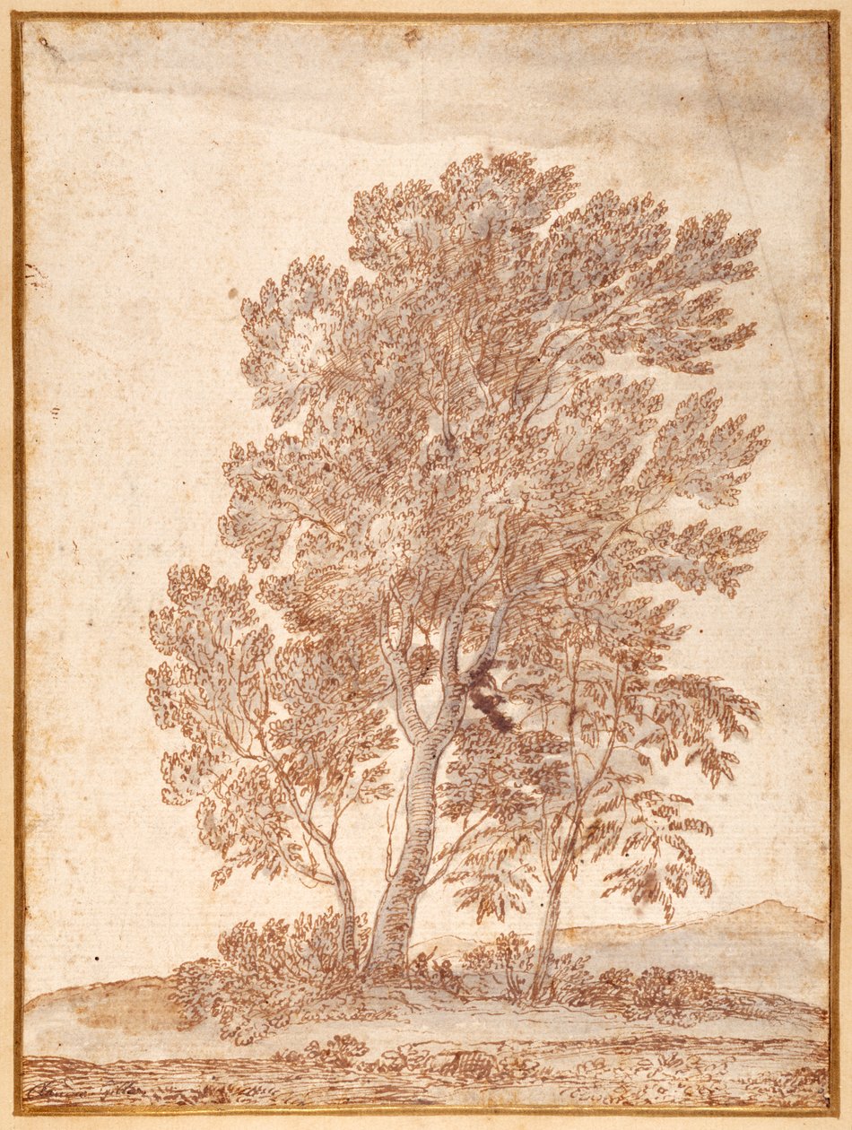 Three Trees (pen & brown ink with grey wash on paper) بواسطة كلود لورين