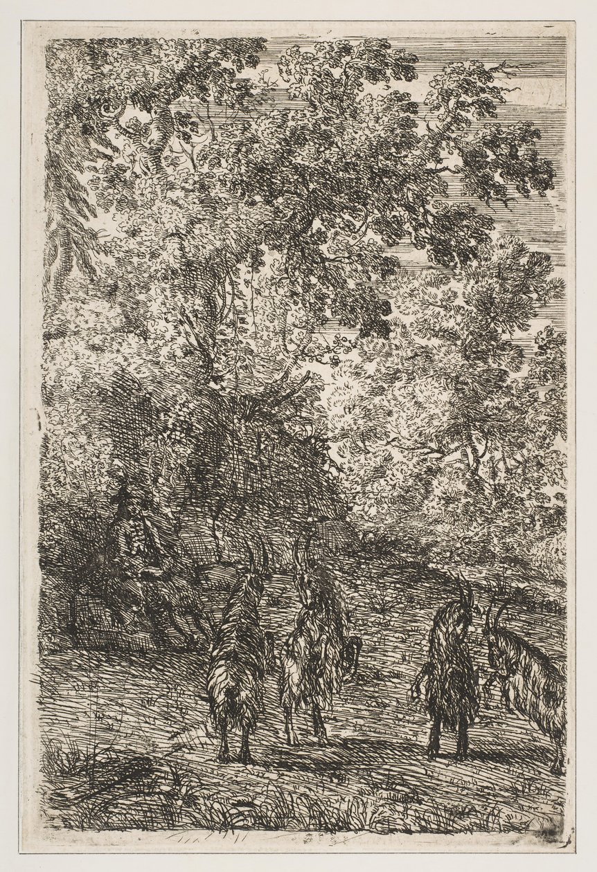 أربعة الماعز القسم الأيسر من الماعز ، كاليفورنيا. 1630-33. بواسطة كلود لورين