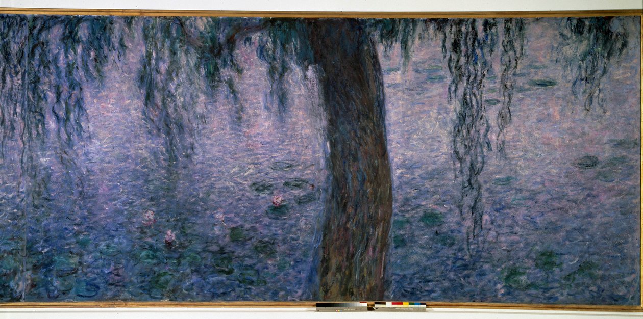 Nympheas ، صباح مشرق مع Triptych الصفصاف الجزء الأيمن. لوحة لكلود مونيه (1840-1926) 1914-1926 خافت. 2 × 4.25 م. باريس. متحف Orangerie بواسطة كلود مونيه
