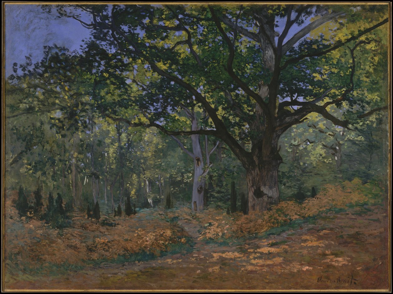 The Bodmer Oak ، غابة فونتينبلو ، 1865 بواسطة كلود مونيه