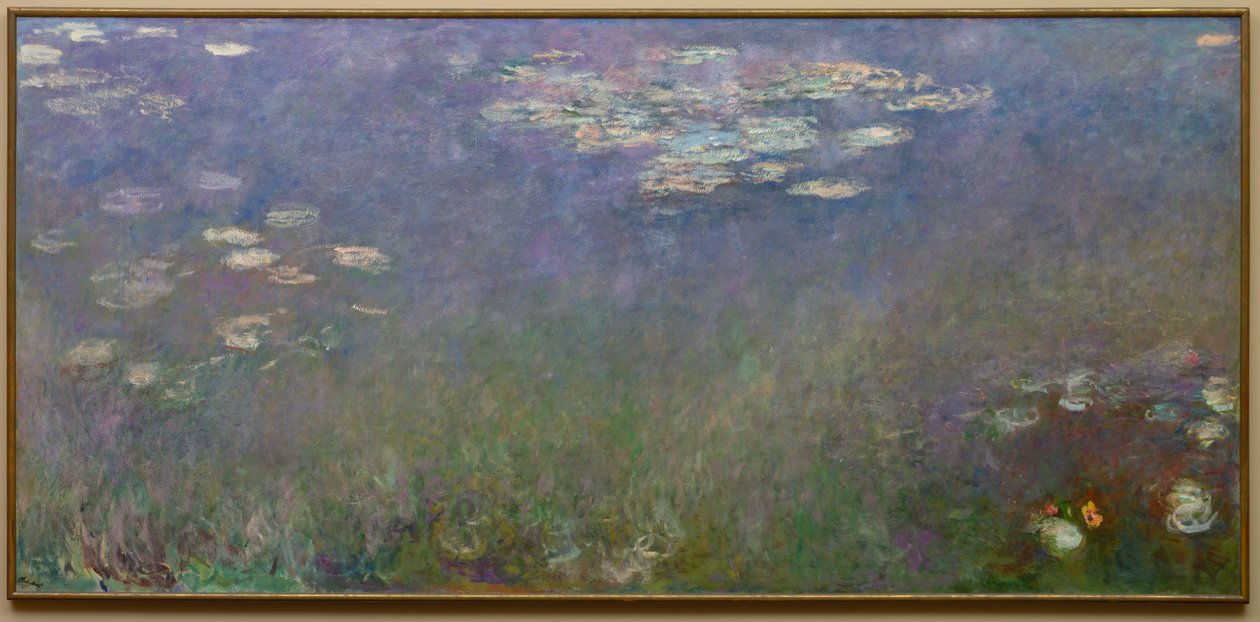 زنابق الماء Agapanthus ، ج. 1915-26. بواسطة كلود مونيه