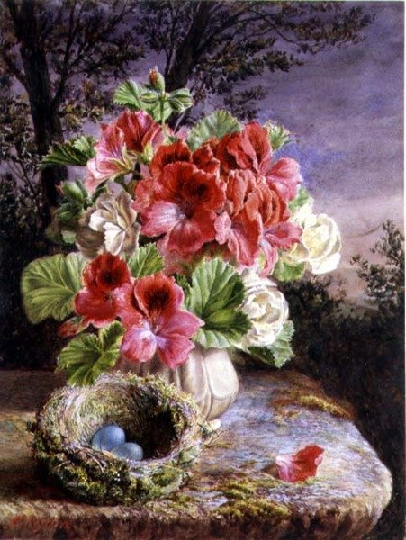 Gloxinia وعش الطيور بواسطة كلود ريان