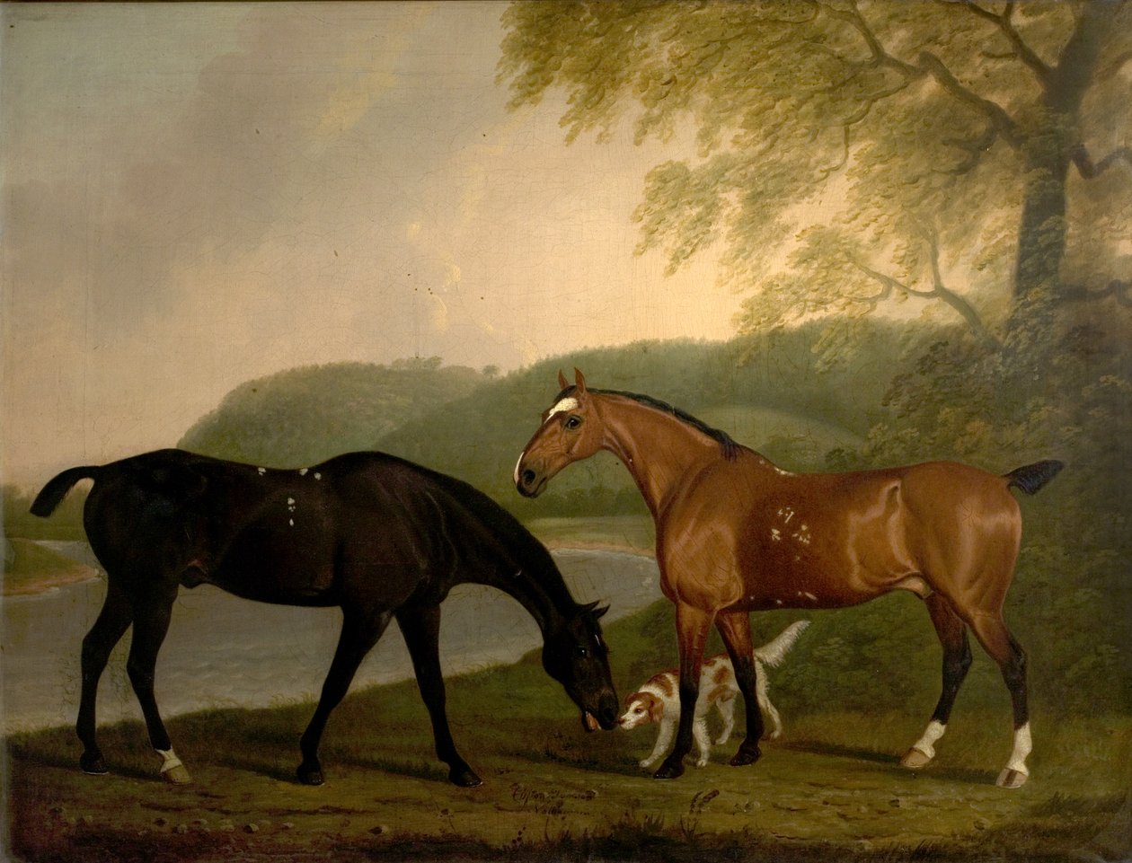 الخيول والكلب في المناظر الطبيعية ، c.1830 بواسطة كليفتون تومسون