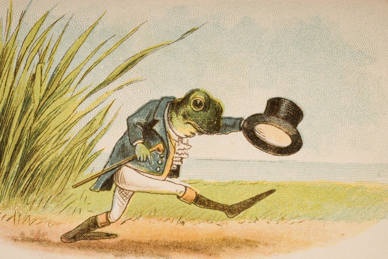 A Frog He Would A-Wooing Go ، من "Old Mother Goose&39;s Rhymes and Tales" ، نشرته شركة Frederick Warne und Co. ، c.1890s (chromolitho) بواسطة كونستانس هاسليوود