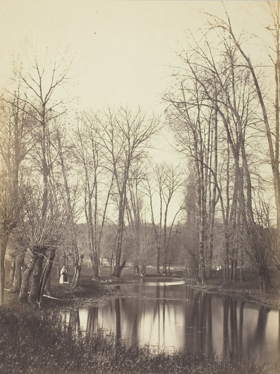 Etang et Fermiere Pool وزوجة المزارع ، ج. 1865. بواسطة كونستانت الكسندر فامين