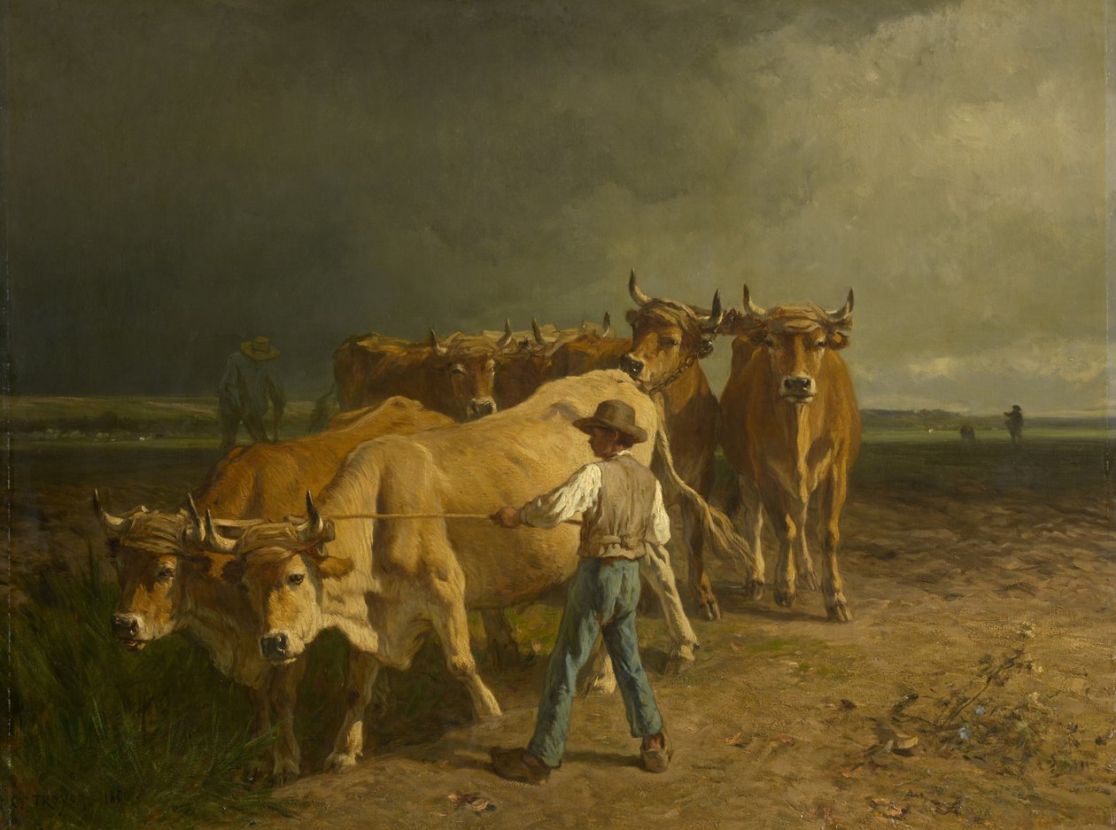 حرث الثيران ، 1860 بواسطة ثابت اميل ترويون