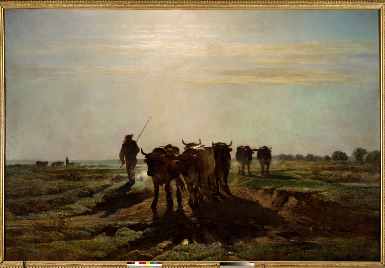 الثيران ذاهب إلى الحرث ، تأثير الصباح اللوحة بواسطة كونستانت ترويون (1810-1865) 1855 شمس. 2،6 × 4 م باريس ، متحف أورسيه. بواسطة ثابت اميل ترويون