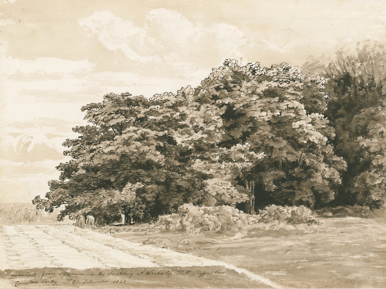 قاعة Wrottesley - The Shrubbery: رسم بني داكن ، 1820 بواسطة كورنيليوس فارلي