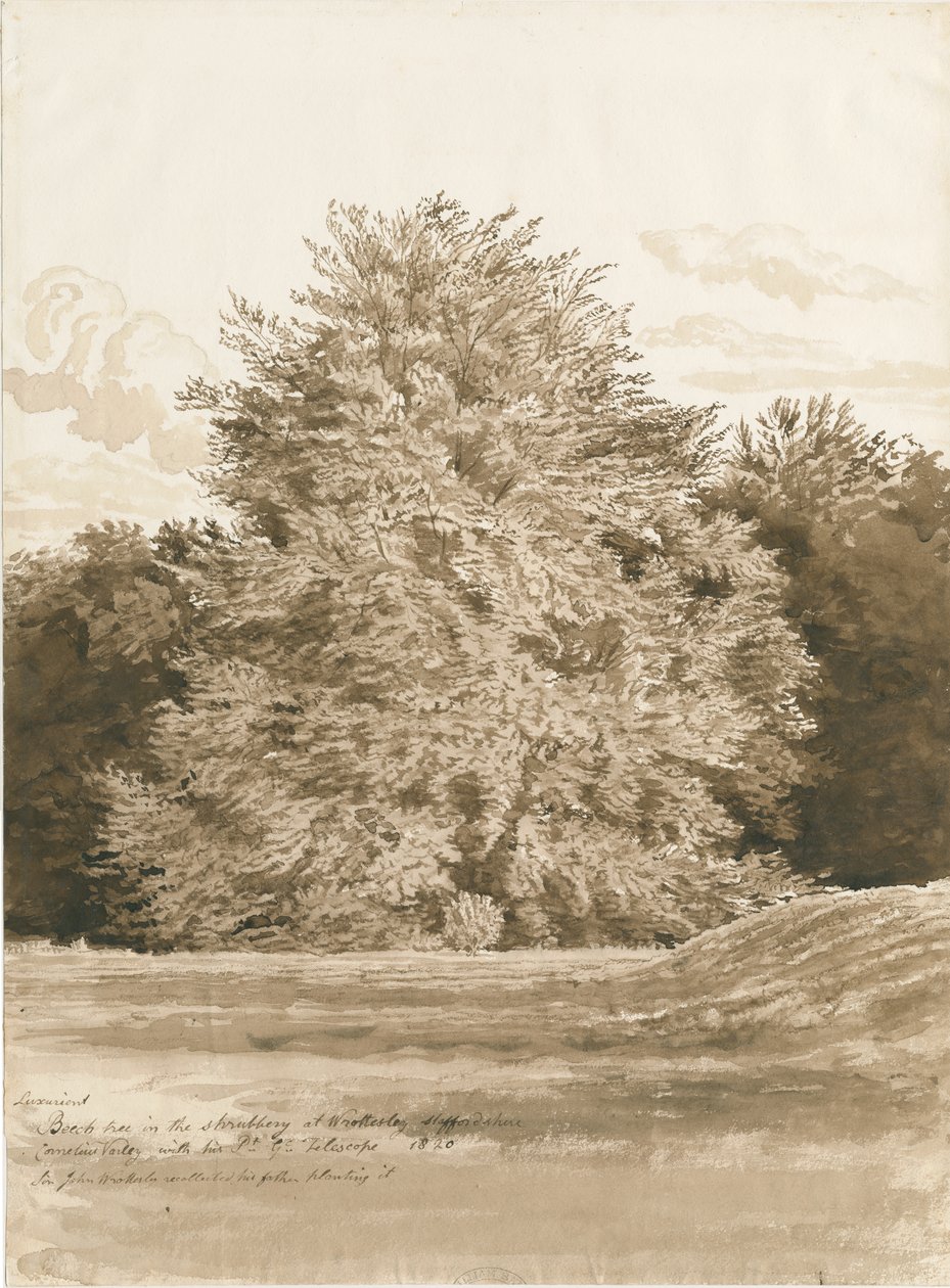 قاعة Wrottesley - The Shrubbery: رسم بني داكن ، 1820 بواسطة كورنيليوس فارلي
