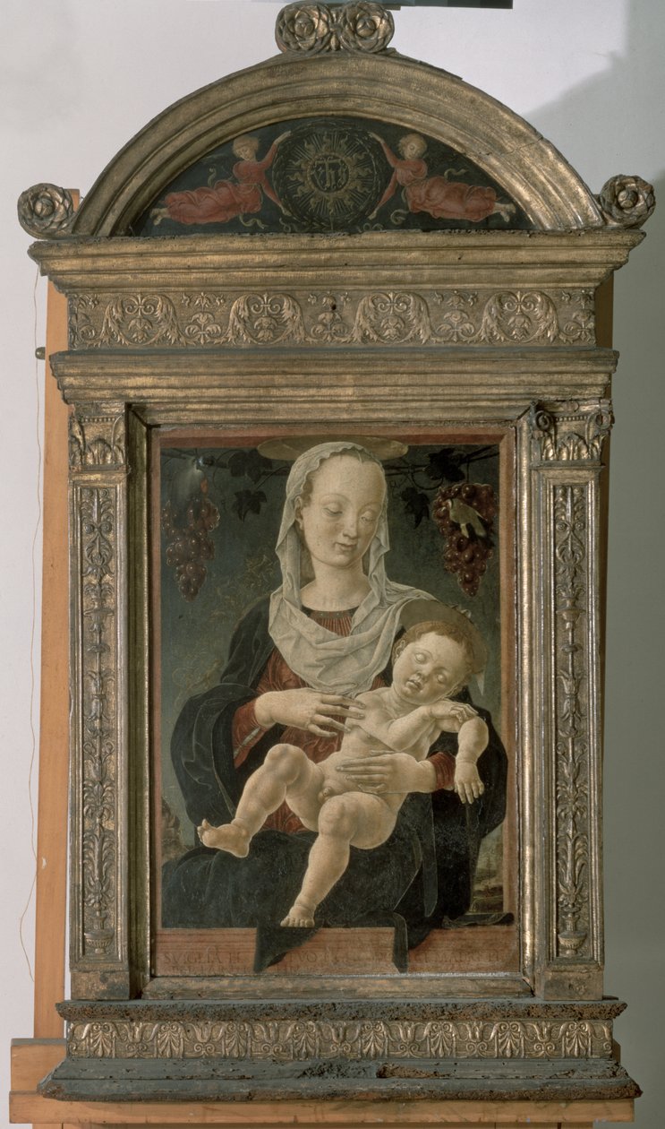 مادونا والطفل بواسطة Cosimo Tura