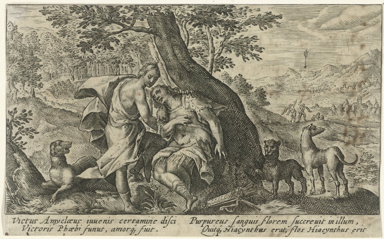 Apollo en Hyacinthus ميتامورفوسين فان أوفيديوس (عنوان المسلسل) بواسطة كريسبين فان دي باس (الأول)