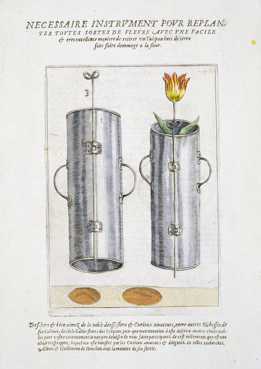جهاز لإعادة زراعة الزهور ، من "Hortus Floridus" ، منشور 1614-15 بواسطة نير كريسبين
