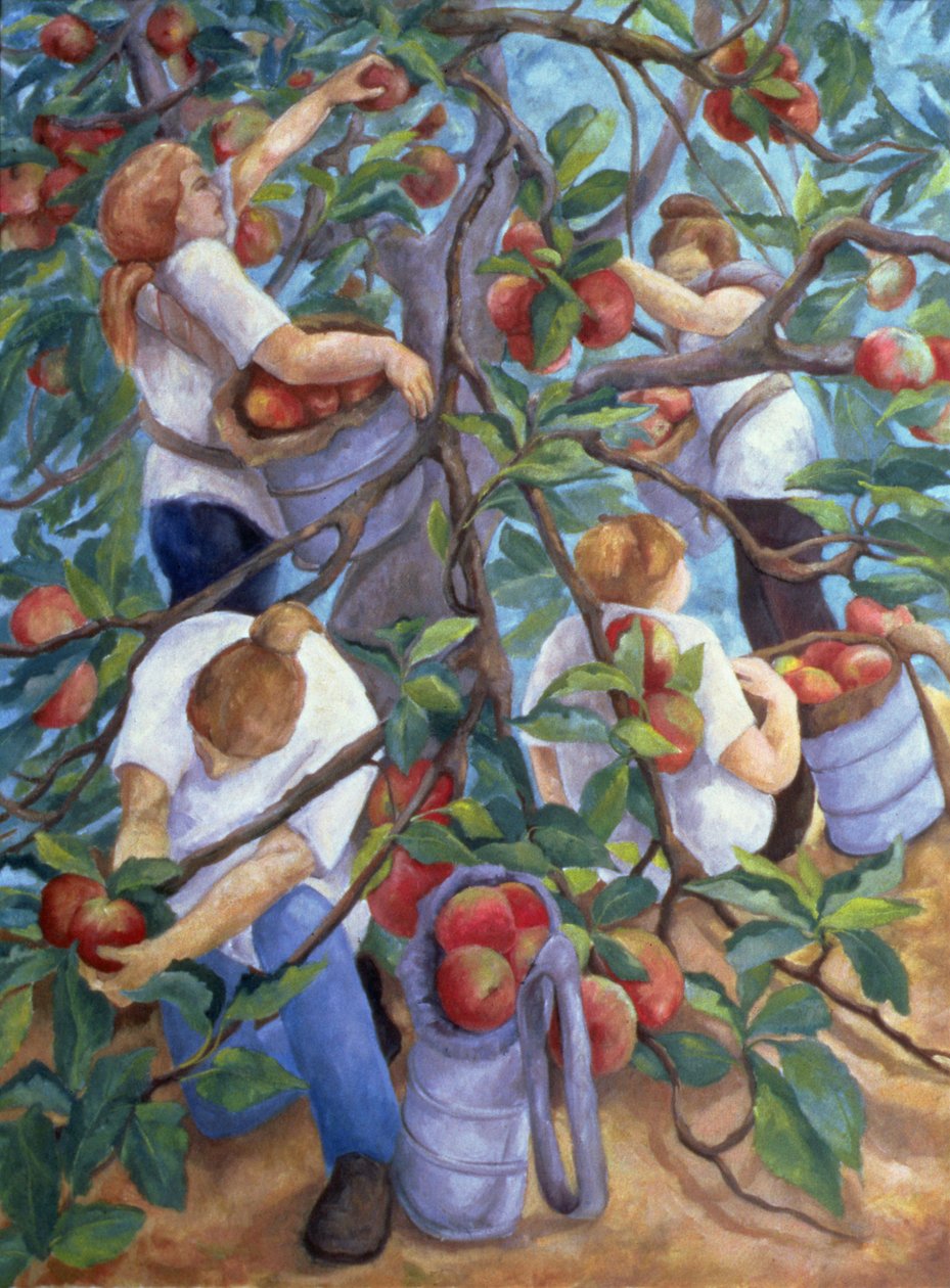 Apple Pickers ، 1996 بواسطة كريستيانا أنجيليني