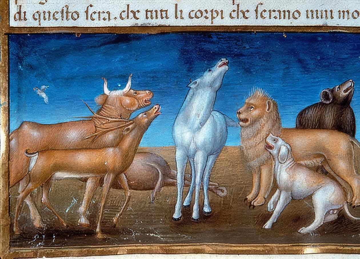 نهاية العالم: وستسقط النجوم من السماء وستخشى الحيوانات (c.149v). 1476 بواسطة كريستوفورو دي بريديس