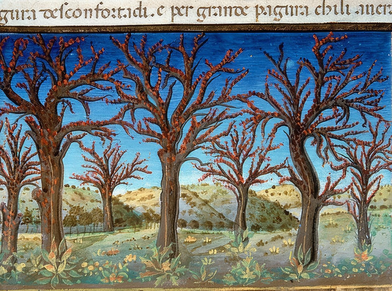 نهاية العالم: ستُغطى الأشجار بالدم (c.147v). 1476 بواسطة كريستوفورو دي بريديس