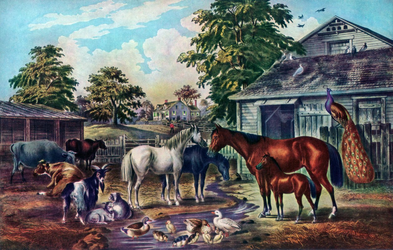 ساحة المزرعة الأمريكية في الصباح ، 1857 بواسطة كوريير وآيفز