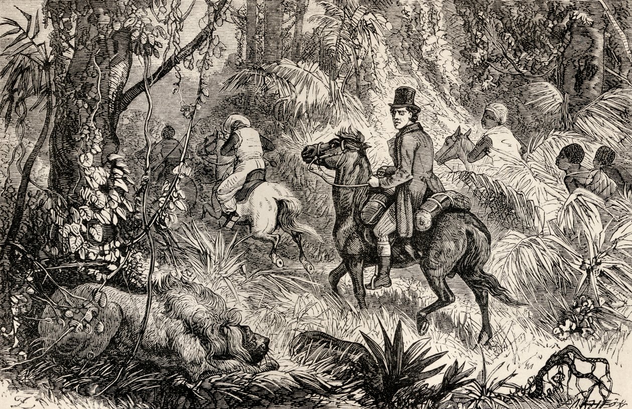 مونغو بارك يواجه أسدًا بينما كان في طريقه إلى قرية موديبو ، 1825 بواسطة Dalziel إخوان